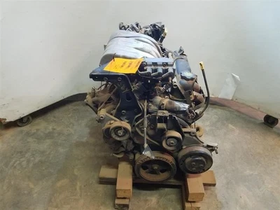 Motor 6-230 3,8 L VIN L octavo dígito compatible con Dodge Caravan 98 OEM Foto 1 de 4