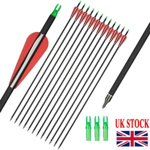 Archery 30" Hunting Carbon Arrows SP500 Screw Tips Compound Recurve Bow 12-PACK - Picture 1 of 21