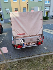 Stema ST O1 7.5-25-13.1 Anhänger 750kg Autoanhänger Pkw-Anhänger neu - Bild 1 von 7