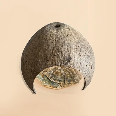 Kokosnussschalen Hütte Unterschlupf Einsiedlerwachstum Reptilienverstecke Hide - Bild 1 von 4