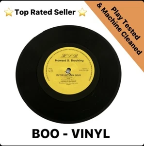 Howard S. Brooking - In The Autumn Gold Rare 7” Electronic / New Wave Vinyl NM - Imagen 1 de 6