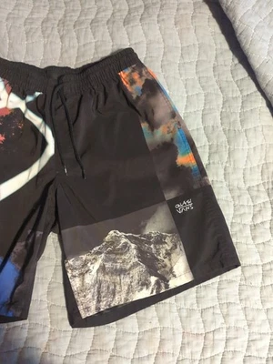 Pantalones Cortos Vans X Quasi Para Hombre L Calce Relajado Foto 1 de 4