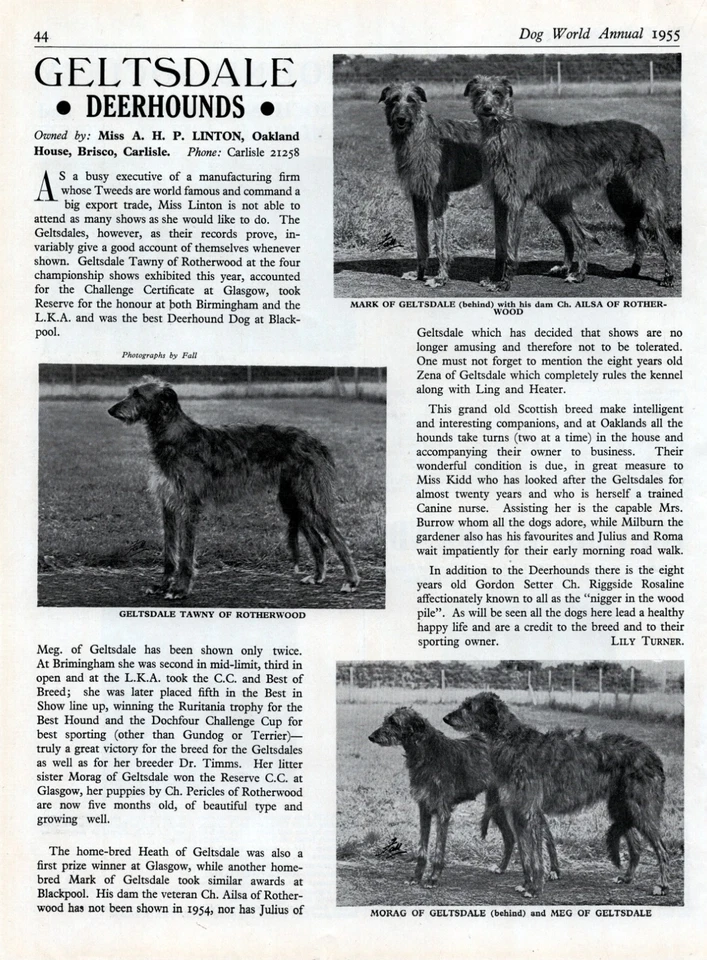 DEERHOUND DOG BREED KENNEL ADVERT PRINT PAGE 1955 GELTSDALE KENNEL DOG WORLD - Image 1 of 1