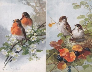 Catharina Klein Lot 2 Postcard Ancient Bird Pairs Artist Birds Animals 2507041 - Picture 1 of 2