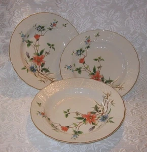 3er Set Mikasa RENAISSANCE MONIQUE D4901 9,25" Suppen-Nudelschalen mit Rand ~ NEUWERTIG! - Bild 1 von 7