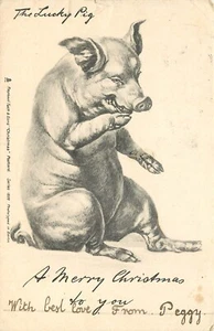 Steck Postkarte Glücksschwein 1828 Frohe Weihnachten - Bild 1 von 2