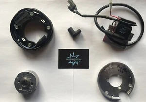 Accensione PVL Rotax 122 anticipo variabile 13° - Foto 1 di 3