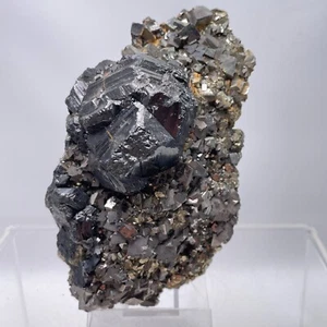 Pyrit , Sphalerit , Tetraedrit xx Rumänien xx Pyrite , Sphalerite  xx  Romania - Bild 1 von 13