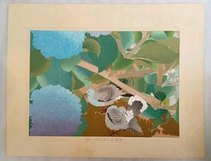 Tsuchiya Rakusan Hydrangeas & Collared Turtledoves Japan Woodblock Rakuzan c1930 - Picture 1 of 8