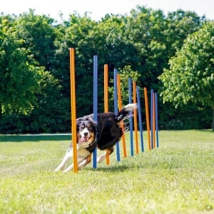 K9 Pursuits Pet Dog Agility Slalom Weave Poles Training Obstacle Course 12 Poles - Picture 1 of 5