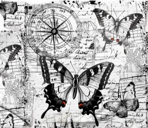 AALL & Create LAYER IT UP Washi Tape - #120 PURE GRACE, Butterflies - Picture 1 of 2