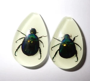 Cabochon Colorful Scarab Beetle Pear Shape (cut top) 46x30 mm Glow 2 pcs Lot - Picture 1 of 18