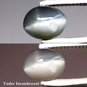 💎 0.92ct Oval Cabochon Natural Green Cat's Eye Alexandrite - Russia Gemstone - Picture 1 of 6