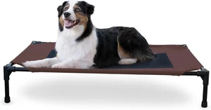 Outdoor Elevated Dog Cot, Breathable Cooling Elevated Cot Hammock Pet Bed for La - Picture 1 of 12