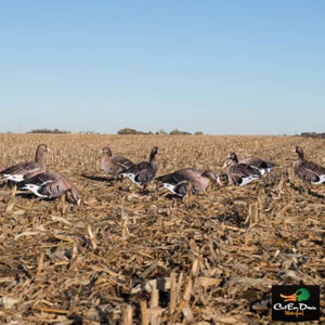 AVERY OUTDOORS GREENHEAD GEAR GHG PRO GRADE SPECKLEBELLY GOOSE SILHOUETTE DECOYS - Picture 1 of 1