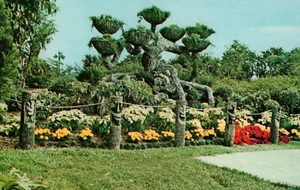Foto de colección 1982 Cypress Gardens Florida postal Shangri-La Tree P422 - Imagen 1 de 3