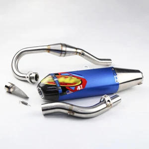 BLUE CARBON EXHAUST MUFFLER PIPE + SPARK ARREST HONDA CRF300L RALLY 2020-25 - Picture 1 of 11