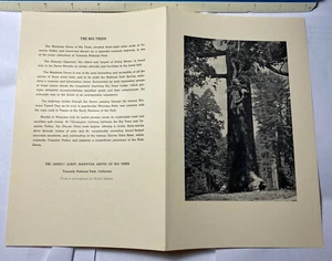 MENÚ YOSEMITE AHWAHNEE Mar 6 47 5.5x8-.5" The Grizzly Giant Mariposa - Imagen 1 de 2