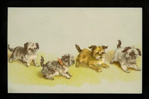 Perro cachorro postal Terrier cachorros cuatro - Imagen 1 de 2