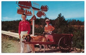 Gaspe Quebec Boys and Dog Cart Gaspé Nord Québec Gaspésiens vendeurs des Bateaux - Picture 1 of 2
