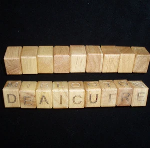 Word Snake - secret message wood brain teaser puzzle - 9 Block -DESIGN YOUR OWN - Picture 1 of 4