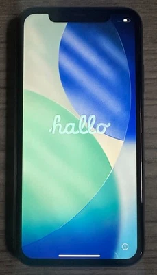 Apple iPhone 11 schwarz 64GB MHDA3ZD/A IOS26 - Bild 1 von 2