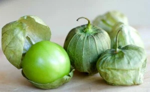 600 Green Tomatillo Seeds Physalis ixocarpa Cape Gooseberry Heirloom Organic - Picture 1 of 9