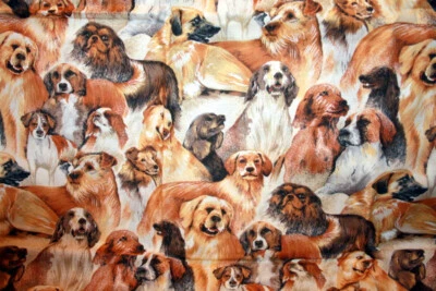 MAJESTUOSOS MUTTS EN MARRÓN DE HI FASHION - TELA 100% ALGODÓN Foto 1 de 4