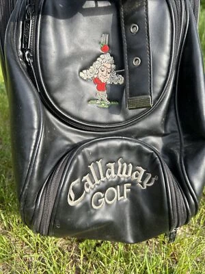 Callaway Golf Big Bertha Sir Isaac Newton Cart Bag 10 1/2” Faux Leather Vinyl - Image 1 of 4
