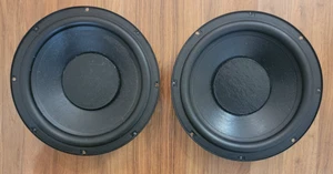 Radiatori passivi Polk Audio SDA CRS+ 10" / l'inserzione è per la coppia - Foto 1 di 5