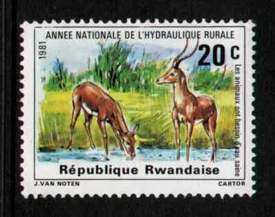 MNG "SUMINISTRO NACIONAL DE AGUA RURAL" RUANDA 1981 Foto 1 de 2