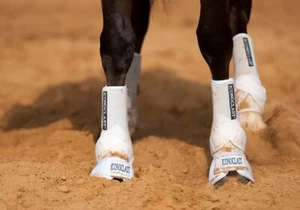 Iconoclast Equine WHITE FRONT Orthopedic Support Boots - Picture 1 of 7