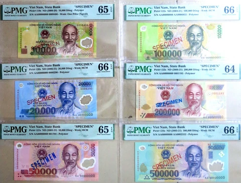 Vietnam (2004-21) Specimen Polymer Set of 6 notes. PMG 64-66 EPQ Cover