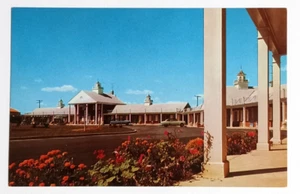 Martha Washington Motel Waldorf Maryland MD Postcard c1960s Street View Old Cars - Picture 1 of 2