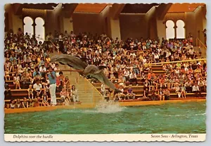 1972 Seven Seas Marine Park Dolphin Show Arlington Texas TX 4x6 PC *Chiuso* - Foto 1 di 2