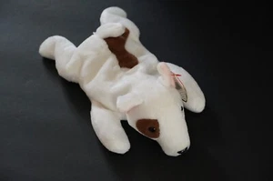 TY BEANIE BABY COLLEZIONE 1999 BUTCH BEANBAG 9" PELUCHE - Foto 1 di 3