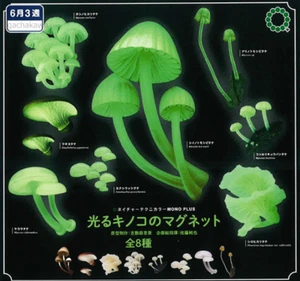 PSL Magnet all 8 sets of Capsule Nature Technicolor MONO Glowing mushroom 2025 - Picture 1 of 11