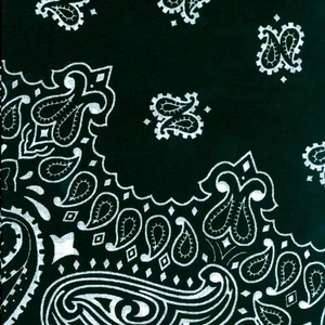 Hav-A-Hank Paisley Bandanna 22"X22" Black - Picture 1 of 2