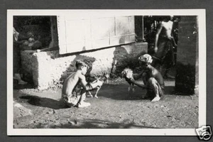Bali photo postcard Boys Bird Cock Rooster Indonesia 1920s - Bild 1 von 1
