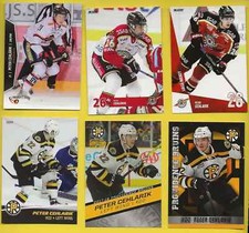 2013-14 Swedish Allsvenskan (ERC) 2 Elitset + 4 Providence Bruins Peter Cehlarik