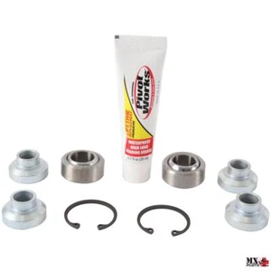 REVISIONE CUSCINETTI BRACCIO OSCILLANTE POSTERIORE POLARIS RZR XP 900 2011 PI... - Foto 1 di 1
