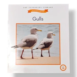 Meet the SuperKids Gulls Unit 13 Kindergarten Beginning Books Library - Picture 1 of 3