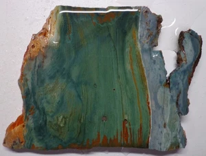 WRG-Losa facial Gary Green Larsonite/Freedom Jaspe 95 gramos ágata de Oregón - Imagen 1 de 4