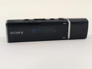 Sony Walkman Digital Music Player NW-E013 1 GB Black Rare HTF Tested - Picture 1 of 9