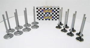 Fits 2012-2015 Hyundai 1.6L DOHC L4 16V -8 INTAKE & 8 EXHAUST VALVES - Picture 1 of 3