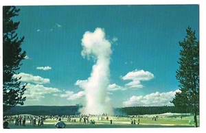 OLD FAITHFUL GEYSER Upper Basin Yellowstone National Park Wyoming Postcard WY - Photo 1/2