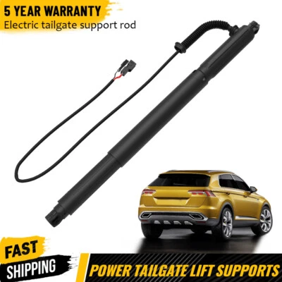 Soporte elevador eléctrico puerta trasera izquierda para BMW E71 X6 2008 2009 2010 2011-2014 Foto 1 de 4