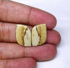 Picture Jasper Gemstone Pair 17.70 ct Natural Loose Gemstone Cabochon G 2107 - Picture 1 of 3