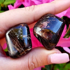 Garnet  Natural tumbled polished Healing Crystal Gemstone specimen - 2pc set - Imagen 1 de 8