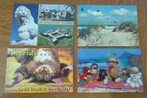 Lot 4 Florida Postkarten inkl. St. Augustinus, Pelikane - Bild 1 von 2